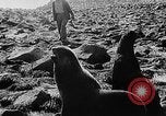Image of seal patrol Pacific Ocean, 1935, second 47 stock footage video 65675049565