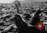 Image of seal patrol Pacific Ocean, 1935, second 48 stock footage video 65675049565