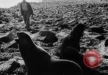 Image of seal patrol Pacific Ocean, 1935, second 50 stock footage video 65675049565