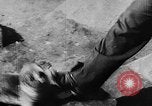 Image of seal patrol Pacific Ocean, 1935, second 53 stock footage video 65675049565
