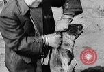 Image of seal patrol Pacific Ocean, 1935, second 56 stock footage video 65675049565