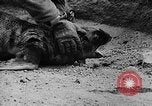 Image of seal patrol Pacific Ocean, 1935, second 57 stock footage video 65675049565