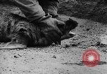 Image of seal patrol Pacific Ocean, 1935, second 58 stock footage video 65675049565