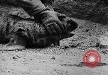Image of seal patrol Pacific Ocean, 1935, second 59 stock footage video 65675049565
