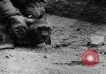 Image of seal patrol Pacific Ocean, 1935, second 61 stock footage video 65675049565