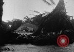 Image of hurricane victims United States USA, 1935, second 47 stock footage video 65675049571