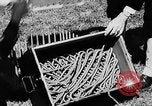 Image of breeches buoy United States USA, 1935, second 29 stock footage video 65675049573