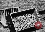 Image of breeches buoy United States USA, 1935, second 32 stock footage video 65675049573