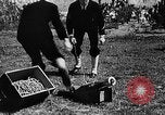 Image of breeches buoy United States USA, 1935, second 36 stock footage video 65675049573
