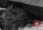 Image of Coast Guard rescue operations for tanker Lyman Stewart in California United States USA, 1935, second 57 stock footage video 65675049574