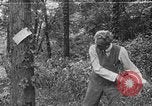 Image of Henry Ford United States USA, 1916, second 9 stock footage video 65675049579