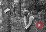 Image of Henry Ford United States USA, 1916, second 10 stock footage video 65675049579
