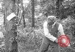 Image of Henry Ford United States USA, 1916, second 12 stock footage video 65675049579