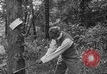 Image of Henry Ford United States USA, 1916, second 13 stock footage video 65675049579