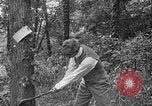 Image of Henry Ford United States USA, 1916, second 16 stock footage video 65675049579