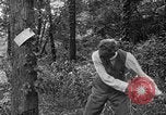Image of Henry Ford United States USA, 1916, second 17 stock footage video 65675049579