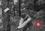 Image of Henry Ford United States USA, 1916, second 18 stock footage video 65675049579