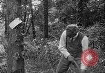 Image of Henry Ford United States USA, 1916, second 20 stock footage video 65675049579