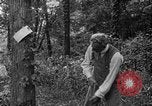 Image of Henry Ford United States USA, 1916, second 23 stock footage video 65675049579
