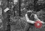 Image of Henry Ford United States USA, 1916, second 28 stock footage video 65675049579