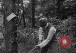 Image of Henry Ford United States USA, 1916, second 29 stock footage video 65675049579