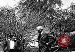 Image of Henry Ford United States USA, 1916, second 34 stock footage video 65675049581