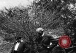 Image of Henry Ford United States USA, 1916, second 35 stock footage video 65675049581