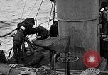Image of United States destroyer Whipple Atlantic Ocean, 1917, second 53 stock footage video 65675049584