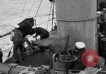 Image of United States destroyer Whipple Atlantic Ocean, 1917, second 56 stock footage video 65675049584