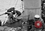 Image of United States destroyer Whipple Atlantic Ocean, 1917, second 58 stock footage video 65675049584