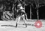 Standbild rope Tricks Hollywood Los Angeles California USA, 1930, aus Sekunde 16 historischem Filmmaterial Videoclip 65675049601