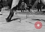 Standbild rope Tricks Hollywood Los Angeles California USA, 1930, aus Sekunde 21 historischem Filmmaterial Videoclip 65675049601