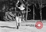 Standbild rope Tricks Hollywood Los Angeles California USA, 1930, aus Sekunde 28 historischem Filmmaterial Videoclip 65675049601