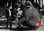 Standbild großer Mann und Zwerge Los Angeles California USA, 1930, aus Sekunde 11 historischem Filmmaterial Videoclip 65675049604