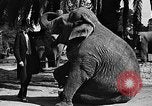 Standbild großer Mann und Zwerge Los Angeles California USA, 1930, aus Sekunde 12 historischem Filmmaterial Videoclip 65675049604