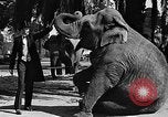 Standbild großer Mann und Zwerge Los Angeles California USA, 1930, aus Sekunde 13 historischem Filmmaterial Videoclip 65675049604