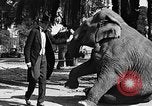 Standbild großer Mann und Zwerge Los Angeles California USA, 1930, aus Sekunde 16 historischem Filmmaterial Videoclip 65675049604