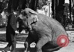 Standbild großer Mann und Zwerge Los Angeles California USA, 1930, aus Sekunde 17 historischem Filmmaterial Videoclip 65675049604