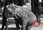 Standbild großer Mann und Zwerge Los Angeles California USA, 1930, aus Sekunde 18 historischem Filmmaterial Videoclip 65675049604
