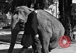 Standbild großer Mann und Zwerge Los Angeles California USA, 1930, aus Sekunde 19 historischem Filmmaterial Videoclip 65675049604