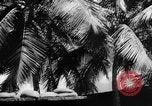 Image of Civil defense measures following  Pearl Harbor attack Oahu Hawaii USA, 1942, second 1 stock footage video 65675049608