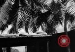 Image of Civil defense measures following  Pearl Harbor attack Oahu Hawaii USA, 1942, second 3 stock footage video 65675049608