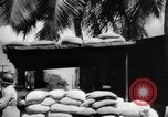 Image of Civil defense measures following  Pearl Harbor attack Oahu Hawaii USA, 1942, second 5 stock footage video 65675049608