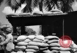 Image of Civil defense measures following  Pearl Harbor attack Oahu Hawaii USA, 1942, second 6 stock footage video 65675049608