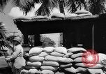 Image of Civil defense measures following  Pearl Harbor attack Oahu Hawaii USA, 1942, second 7 stock footage video 65675049608