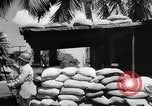 Image of Civil defense measures following  Pearl Harbor attack Oahu Hawaii USA, 1942, second 9 stock footage video 65675049608