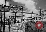 Image of Civil defense measures following  Pearl Harbor attack Oahu Hawaii USA, 1942, second 49 stock footage video 65675049608