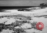 Image of Civil defense measures following  Pearl Harbor attack Oahu Hawaii USA, 1942, second 55 stock footage video 65675049608