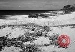 Image of Civil defense measures following  Pearl Harbor attack Oahu Hawaii USA, 1942, second 56 stock footage video 65675049608