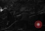 Image of wrecked building London England United Kingdom, 1940, second 15 stock footage video 65675049613